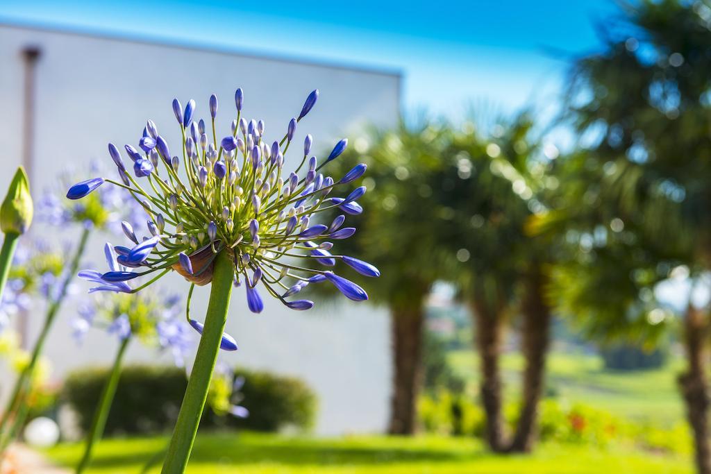 Quinta De San Amaro Rias Baixas Hotel Meano Exterior photo